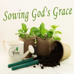 Sermon Series: Sowing God's Grace at Trinity Presbyterian Church, Southlake, TX