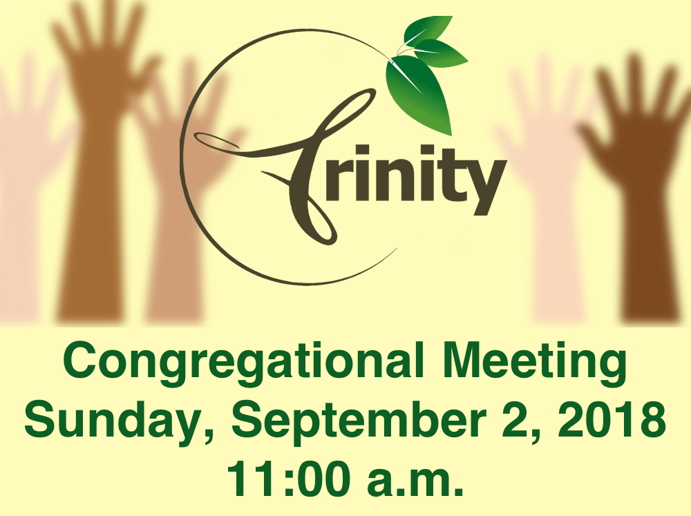 Congregational Meeting September 2 – Trinity Presbyterian Church