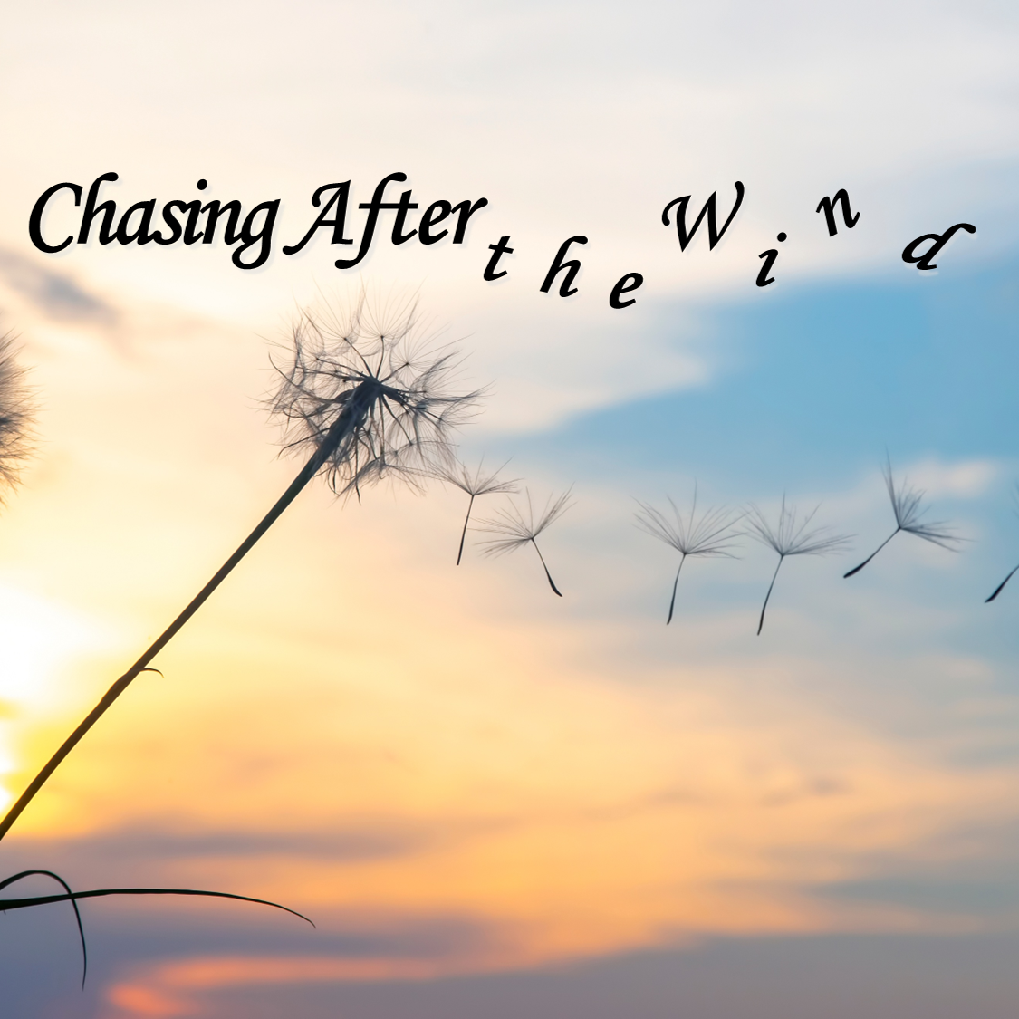 Everything is Meaningless